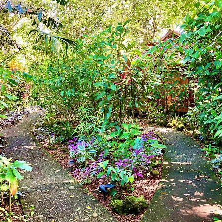 Coral Hill Bungalows Cahuita Exterior photo