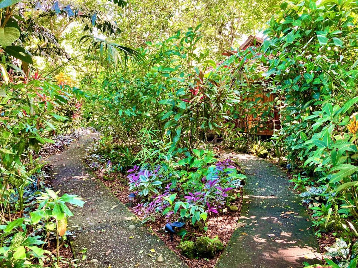 Coral Hill Bungalows Cahuita Exterior photo