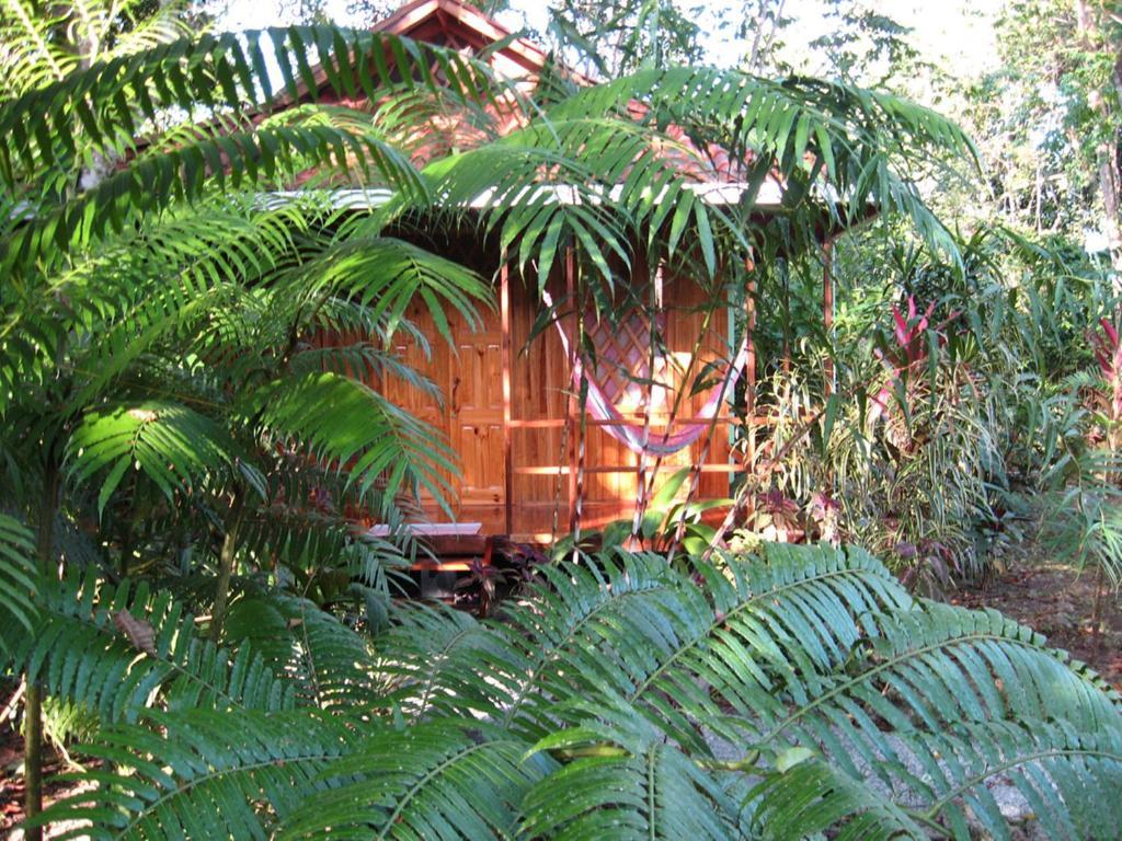 Coral Hill Bungalows Cahuita Exterior photo
