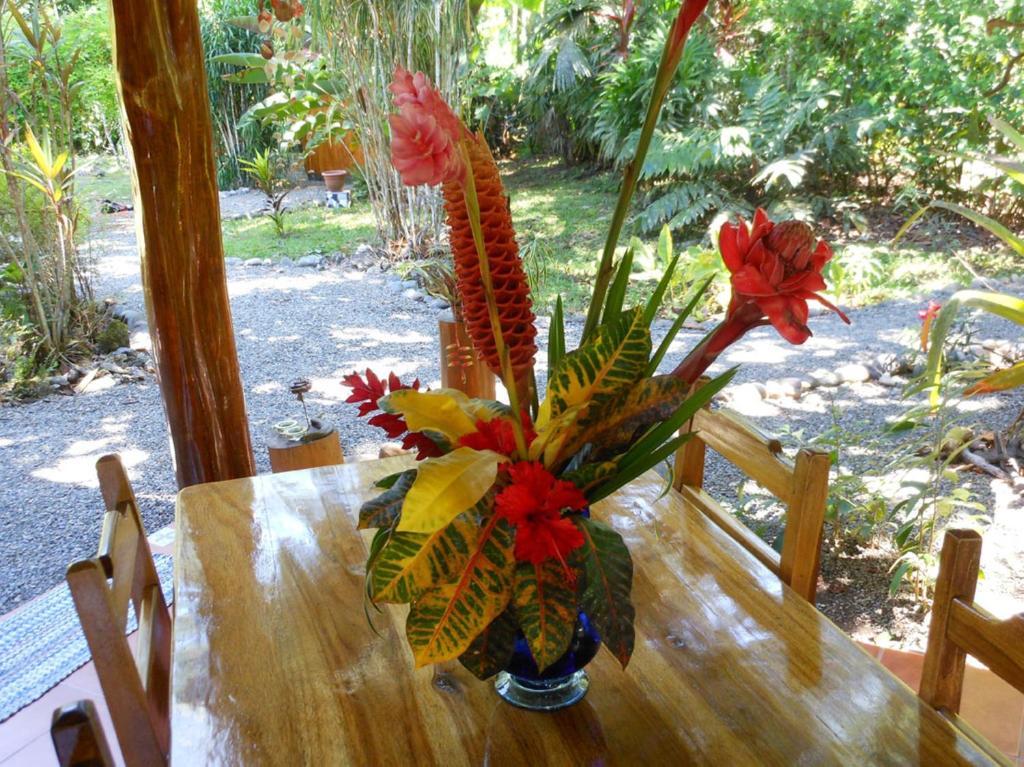 Coral Hill Bungalows Cahuita Exterior photo