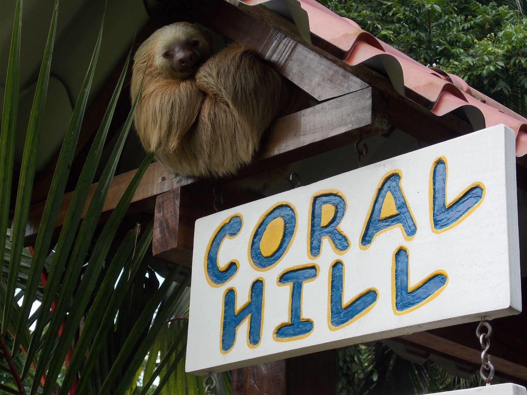 Coral Hill Bungalows Cahuita Exterior photo
