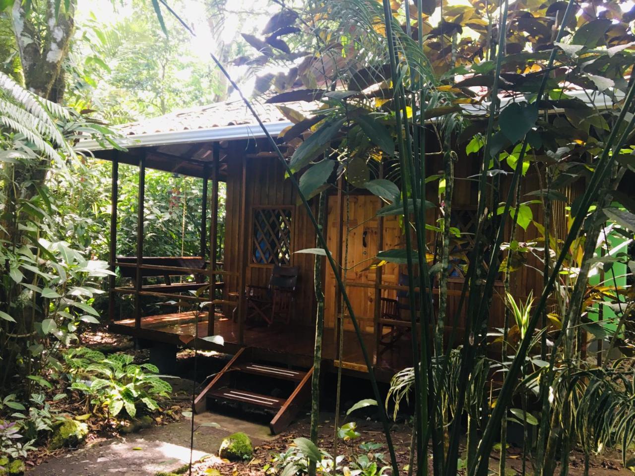 Coral Hill Bungalows Cahuita Exterior photo